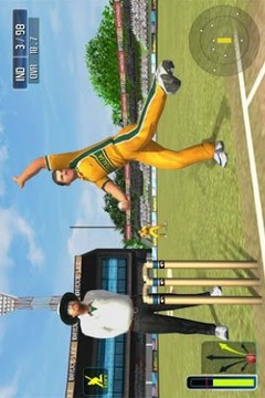 板球世界杯3D游戏截图4
