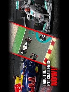 F1挑戰(zhàn)賽游戲截圖3