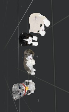 Cute cat simulator 3D游戲截圖4