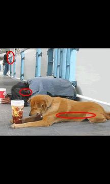 SeArcH趣趣圖案游戲截圖1