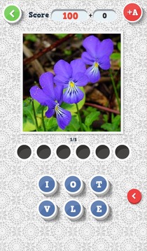 你猜怎么著？花卉游戲截圖4