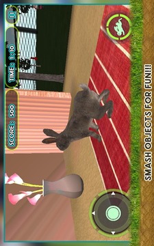 宠物兔VS狗攻击3D游戏截图2