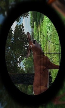 丛林狩猎鹿狙击手游戏截图3