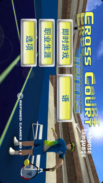 網(wǎng)球?qū)官愑螒蚪貓D1