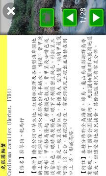 墾丁陸蟹大探索游戲截圖5