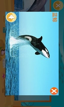 寶寶識海洋動物游戲截圖1