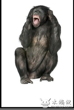 The Monkey App! (classic)游戲截圖2