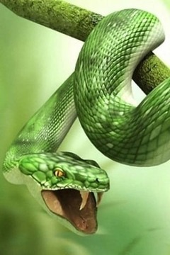 蛇免費(fèi)的經(jīng)典游戲截圖2