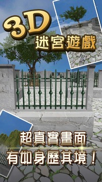3D 迷宮大考驗游戲截圖1