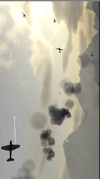 空戰(zhàn)模擬游戲截圖3