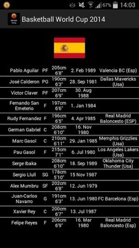 Basketball World Cup 2014游戲截圖2