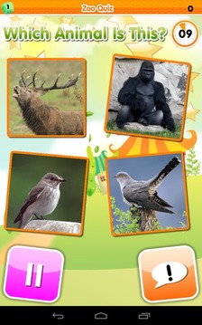 Animal Sounds Play Free (Game)游戲截圖4