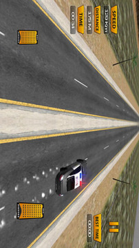 高速警車3D競速游戲截圖5