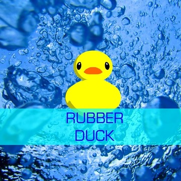 Duck AR!游戲截圖1