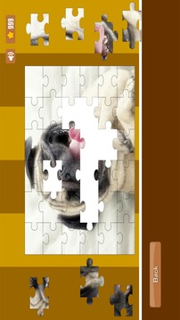 Sweet Dogs Puzzles - 免費游戲截圖4