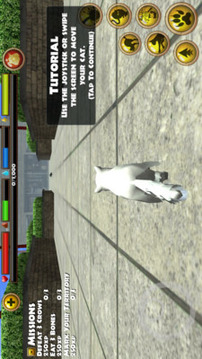 流浪猫模拟器游戏截图2