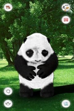 會說話的熊貓滾滾游戲截圖3