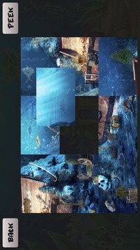 水族館。隱藏的對象游戲截圖2