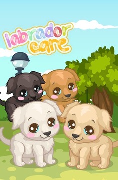 Labrador Care游戲截圖1