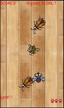 cat_and_insects游戲截圖3
