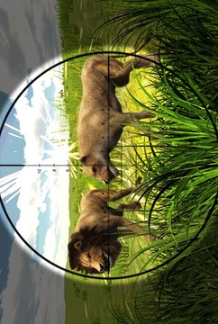 Safari Hunting: Animal Sniper游戲截圖3