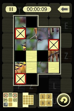 Tile Puzzle Plus Little游戲截圖1