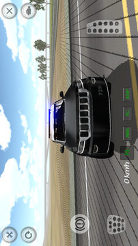 警車也漂移3D游戲截圖4
