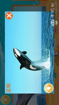 寶寶識海洋動物游戲截圖2