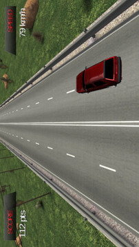 公路狂飙3D游戏截图1