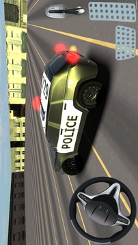 警车停车3D游戏截图2