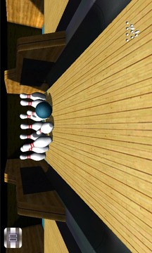 胡同保齡球游戲3D游戲截圖4