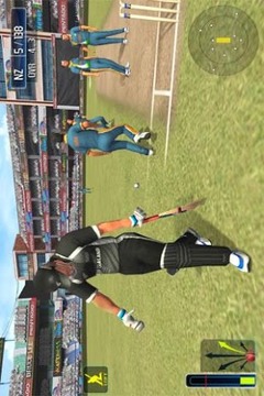 板球世界杯3D游戏截图5