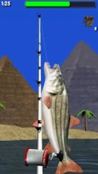 3D大河钓鱼 Big River Fishing游戏截图2