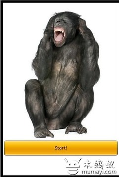 The Monkey App! (classic)游戲截圖1