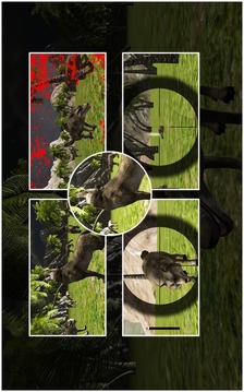 野生狼射擊游戲截圖2