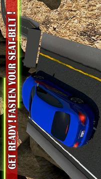 汽車(chē)特技跳躍3D游戲截圖3