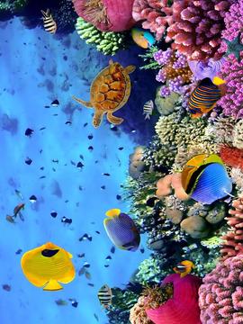 海洋海底世界游戲截圖1