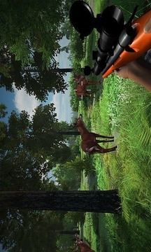 丛林狩猎鹿狙击手游戏截图2