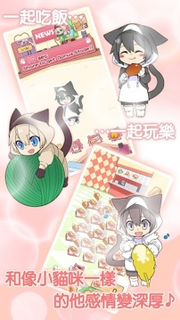 趁貓咪在的時(shí)候游戲截圖2