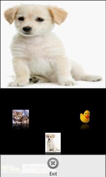 口袋動物游戲截圖2