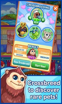 開發(fā)寵物酒店 Tap Pet Hotel游戲截圖4
