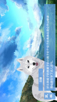 蓮上仙游戲截圖5