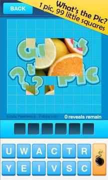 Guess the Pic游戲截圖3