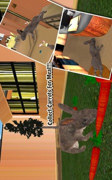 宠物兔VS狗攻击3D游戏截图3