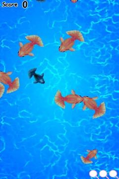 抓金魚游戲截圖3