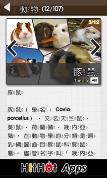 動(dòng)物猜猜游戲截圖5