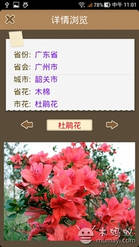 達(dá)人百科游戲截圖4