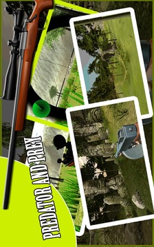 獵人在叢林3D游戏截图5