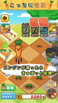 這是根菜:胡蘿卜篇游戲截圖3