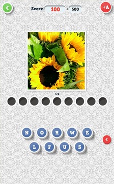 你猜怎么著？花卉游戲截圖2